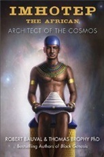 《非洲大祭司： 宇宙的建筑师》
