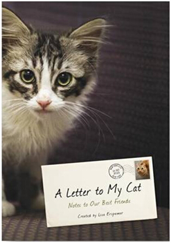 《给猫咪的信：致我们最好的朋友》