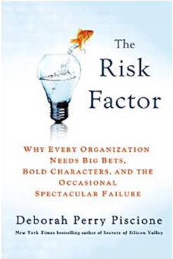 《风险因数：为什么每个组织都需要大赌注、大冒险家和偶尔的大失败》