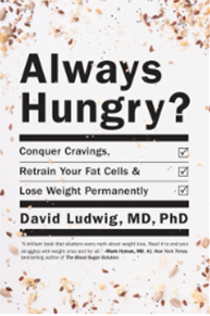 《总是饥饿怎么办？：攻克食欲、训练脂肪、保持体型》