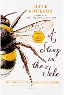 《黄蜂传奇：我与大黄蜂的冒险之旅》