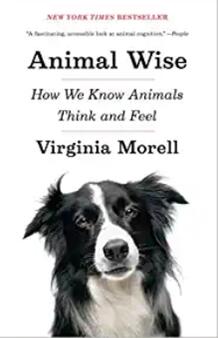 《动物的智慧——我们怎么知道动物是什么想的？》