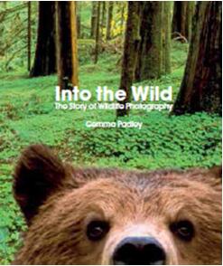 《走进野外：野生动物摄影的故事》