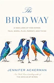《鸟儿的方式：鸟类交流、觅食、嬉戏、育儿以及思考模式新探》