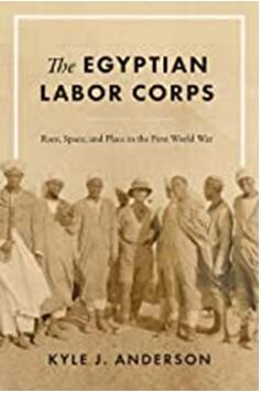 《埃及劳工团：第一次世界大战中的种族、空间和地点》