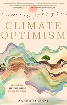 《气候乐观主义：回顾全球气候保护的成果，提供气候变化系统行动指南》