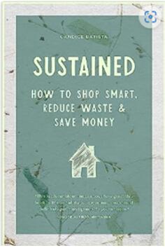《可持续理财指南：如何精明购物、减少浪费、节省开支》