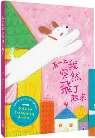 《有一天我突然飞了起来》