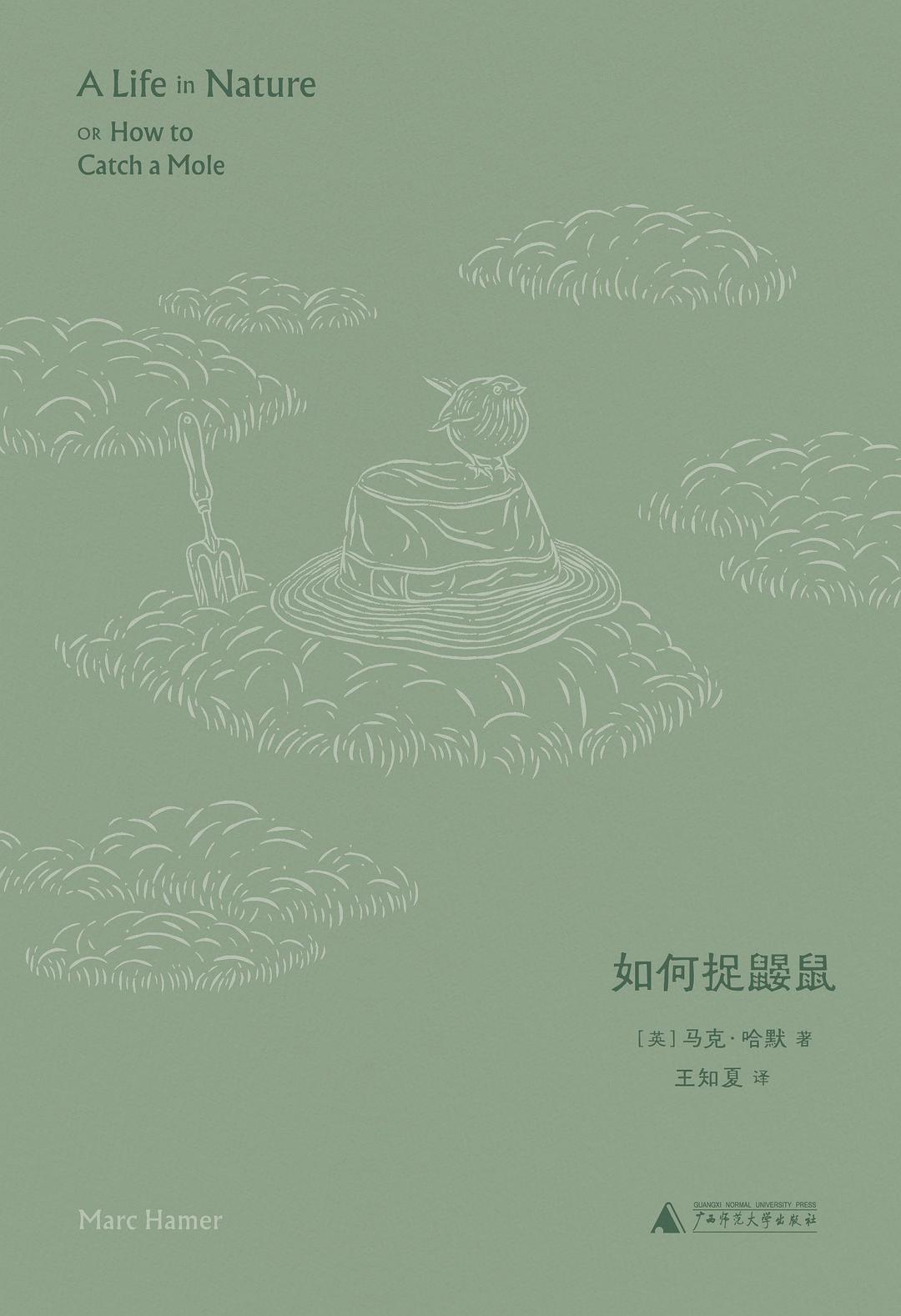 《如何捉鼹鼠》