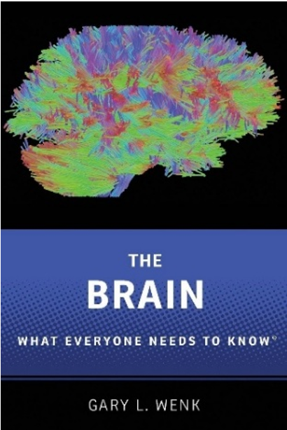 《大脑：每个人都需要知道的事》