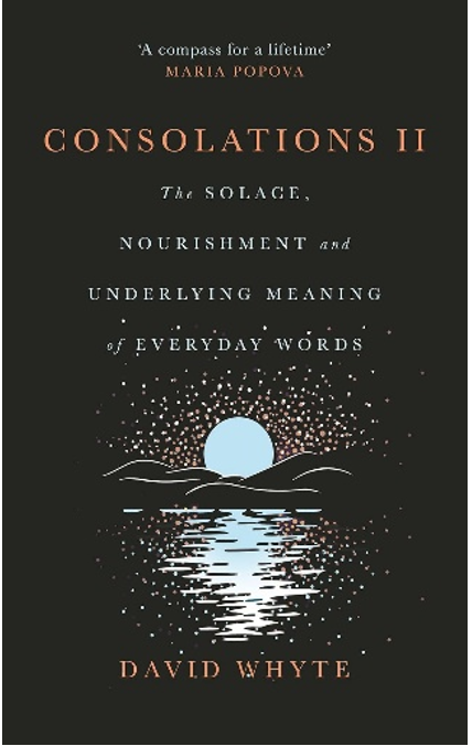 《慰藉之书 II：日常词语中的慰藉、滋养与深意》