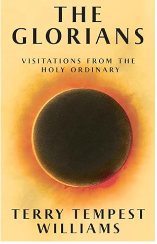 《万物有光：光荣的寻常生命》