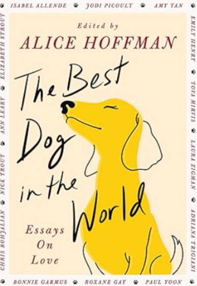 《一只狗教会我的爱：在陪伴中重逢生命的温度》