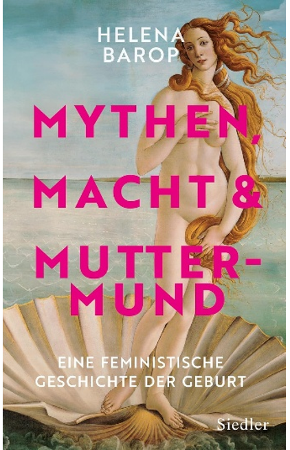 《神话、权力与母职：一部关于分娩的女性主义史》