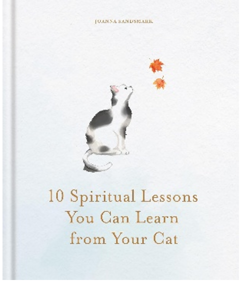 《猫咪的生活哲学：从毛孩子身上学到的人生必修课》
